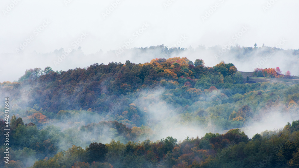 Fog and clouds rising from an autumn forest