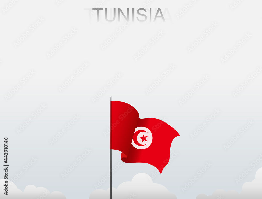 Obraz premium Tunisian flag flying on a pole standing tall under a white sky