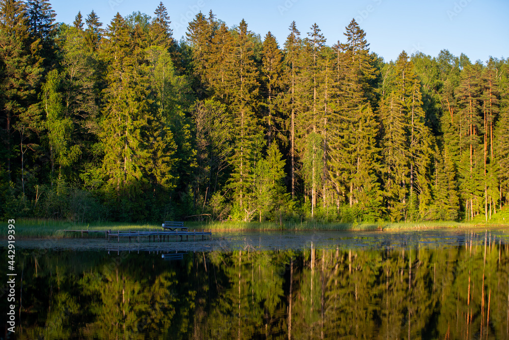 Lake by the forest with perfectly clear water, reflecting green trees and blue sky