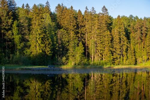 Lake by the forest with perfectly clear water, reflecting green trees and blue sky