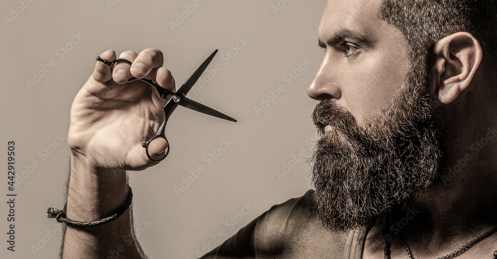 Obraz premium Barber scissors. Vintage barbershop, shaving. Male in barbershop, haircut, shaving. Bearded man isolated on gray background