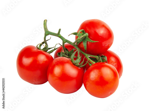 Red fresh tomatoes branch isolated on the white background