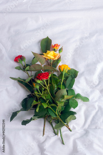 A bouquet of freshly picked roses in the garden on a white sheet.