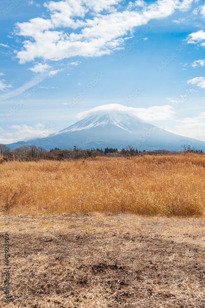 Fototapeta premium Beautiful landscape with Mount Fuji with snow and hat shaped cloud. Vertical shot. Photo taken from National Route 139 in Minamitsuru-gu, Fujikawaguchiko, Yamanashi Prefecture, Japan.