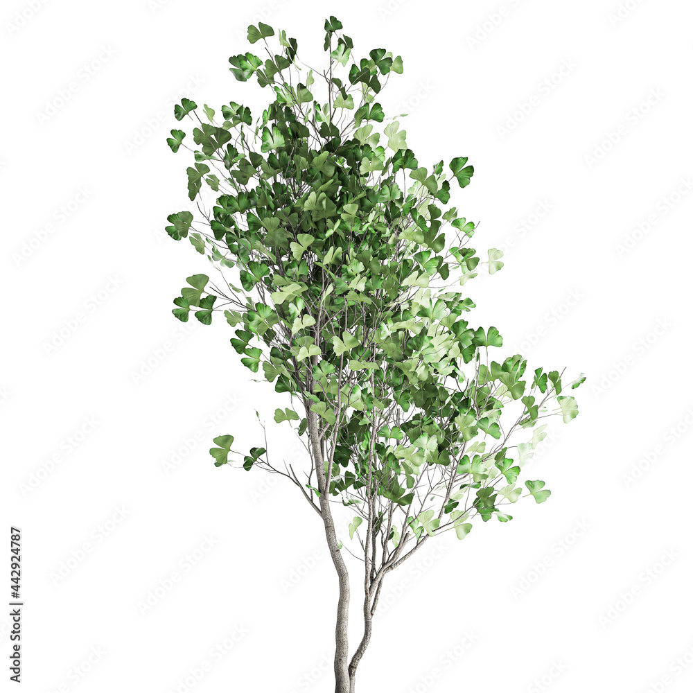 3D illustration of Ginkgo biloba in a rusty flowerpot isolated on white background 