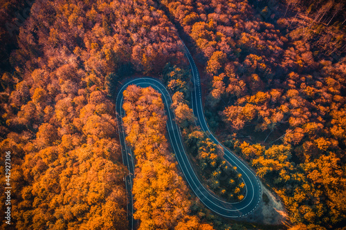 Aerial view of Transfagarasan road at autumn forest