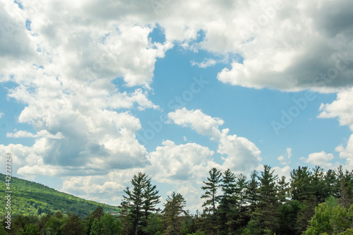 clouds over the forest