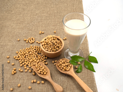 organic soybean in bowl with wooden spoon and soy milk, on sack background, high protein and amino acids