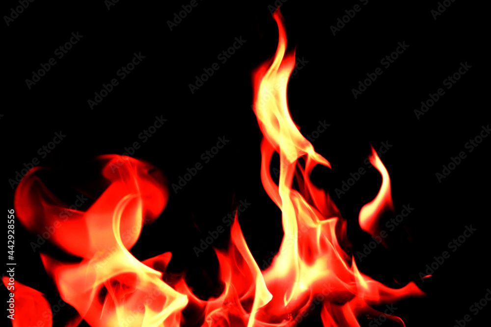 flames on a black background. flames on a black background.