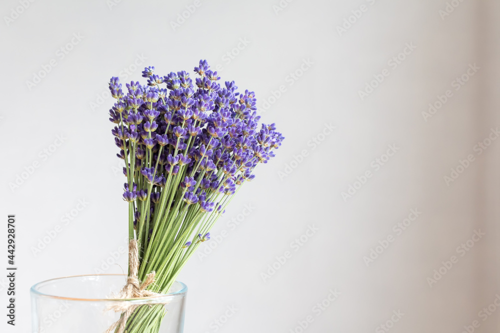 Fototapeta premium Bouquet of lavender in a glass on a gray background
