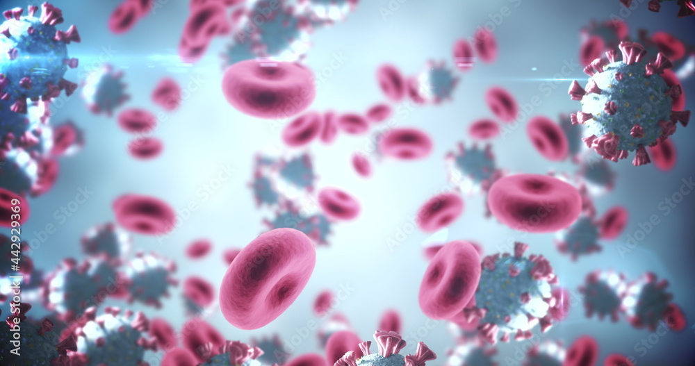Image of macro Coronavirus Covid-19 cells floating in a vein. 4k Image of macro Coronavirus Covid-19 cells floating in a vein. 4k