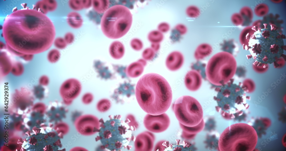 Image of macro Coronavirus Covid-19 cells floating in a vein. 4k