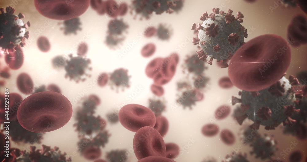 Naklejka premium Image of macro Coronavirus Covid-19 cells floating in a vein. 4k