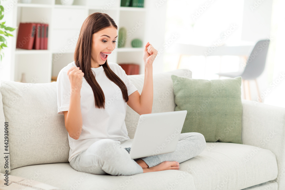 Photo of crazy winner lady look netbook screen rejoice scream wear white t-shirt sit sofa in room indoors Photo of crazy winner lady look netbook screen rejoice scream wear white t-shirt sit sofa in room indoors