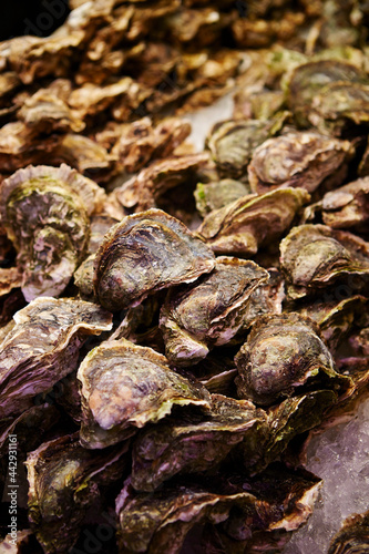 Fresh oysters, traditional seafood market 