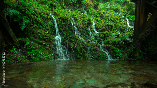 Taiwan, Taiping Mountain, Jianqing Ancient Road, forests, trails, mountain springs