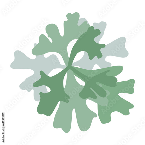 Hypogymnia gray lichen bush logo icon