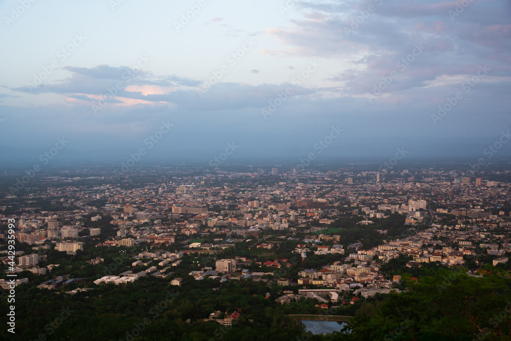 Fototapeta premium Freshly roasted coffee beans.