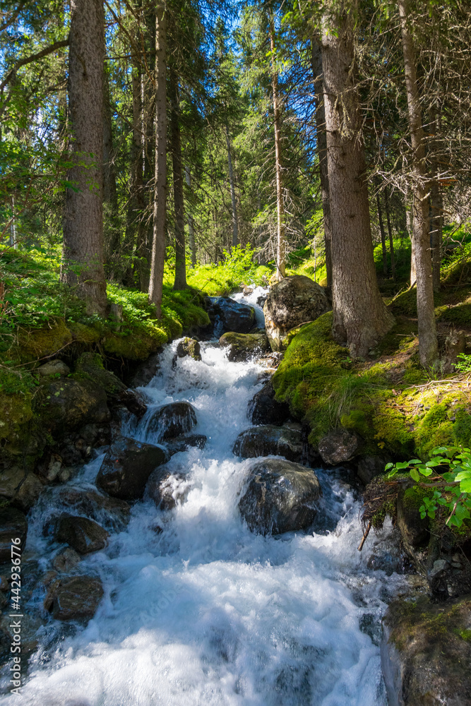 Alpin scenery near Ischgl, Tirol, Austria