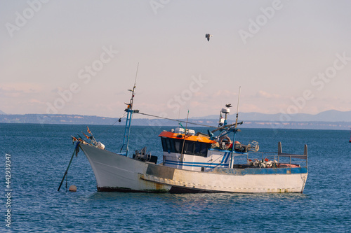 Fishing boat sailing in harbour © rui