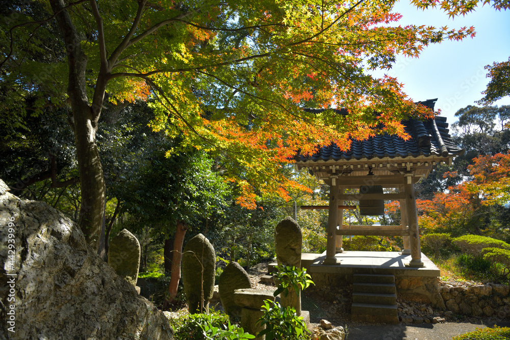 赤く色付き始める紅葉 赤く色付き始める紅葉