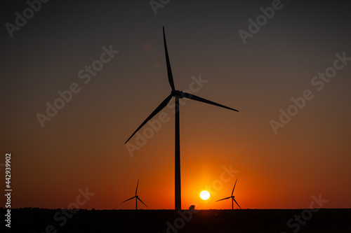 Wind Turbines producing renewable energy at sunset  photo