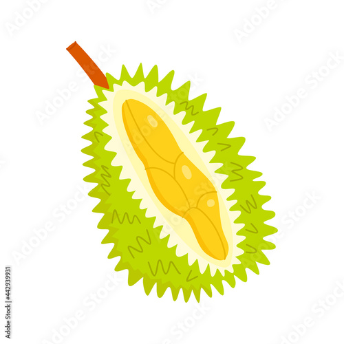 Flat vector cartoon illustration of durian isolated on a white background.