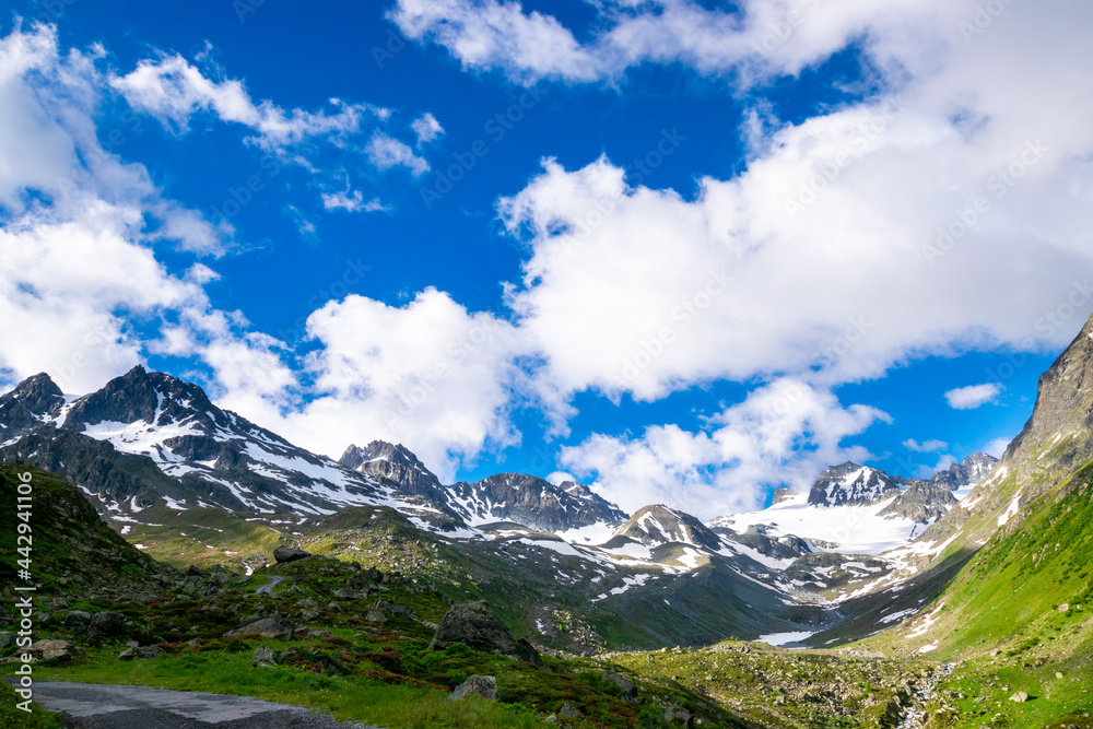 alpin landscape during summer (Montafon, Austria)