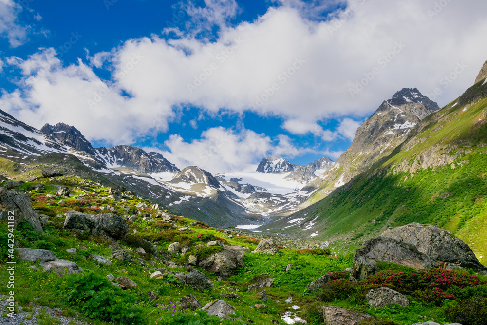 Fototapeta premium alpin landscape during summer (Montafon, Austria)