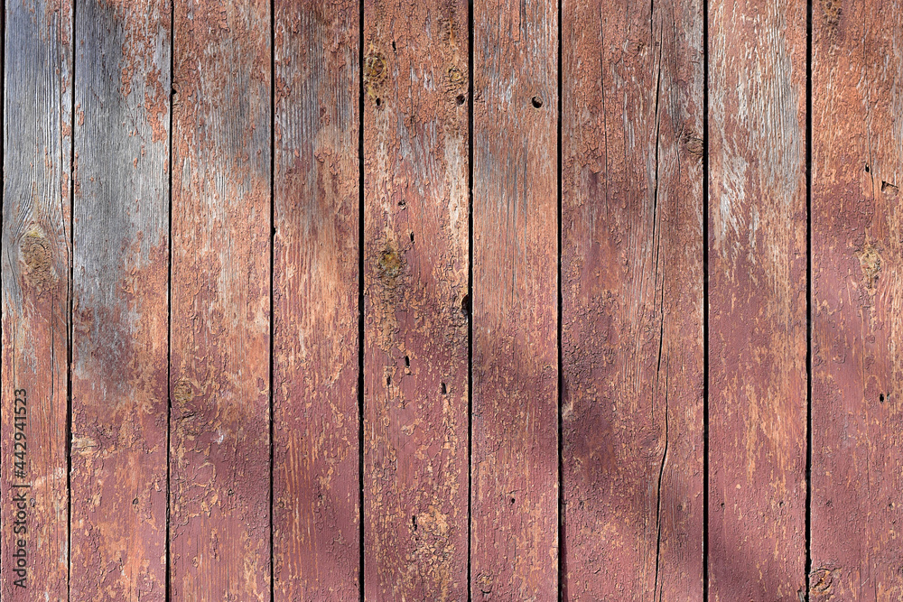 Fototapeta premium Smooth fence boards, covered with a peeling layer of brown paint