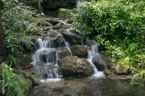 Glistening waterfall at Rainvow Springs in a tropical environment