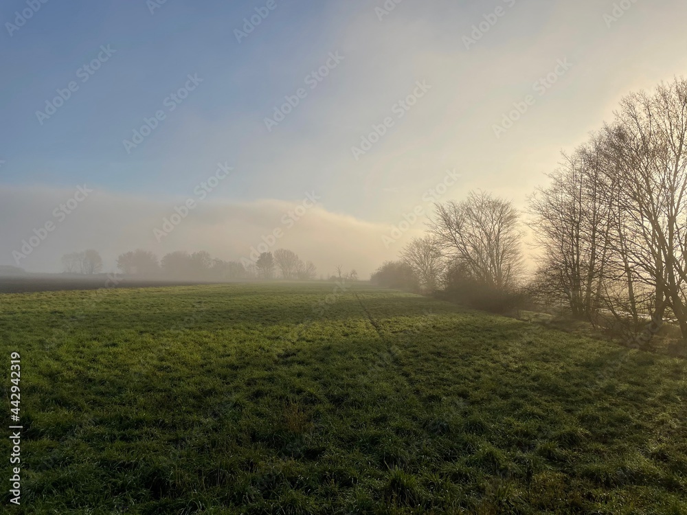 Beautiful mystic scenery of a rural landscape in the fields with a foggy blue sky and trees in the background. 
