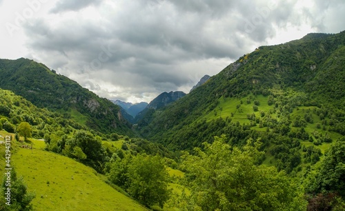 Paisaje natural de Cette-Eygun, un pequeño pueblo en el lado norte de los Pirineos franceses. Hermosas laderas verdes al final de la primavera en un día nublado. Francia.