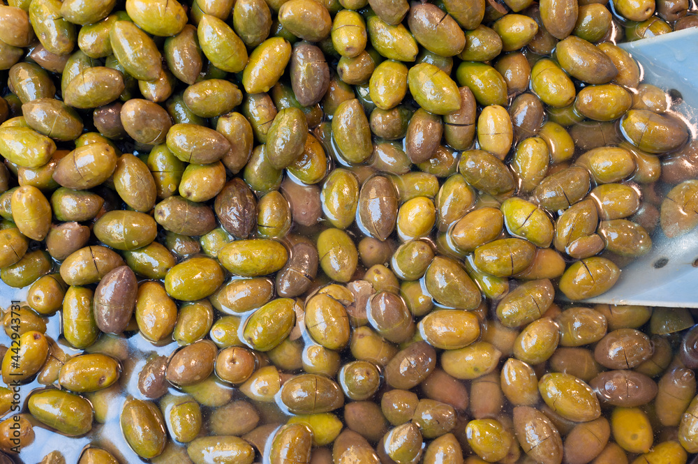 Organic green olive. Organic green olive.