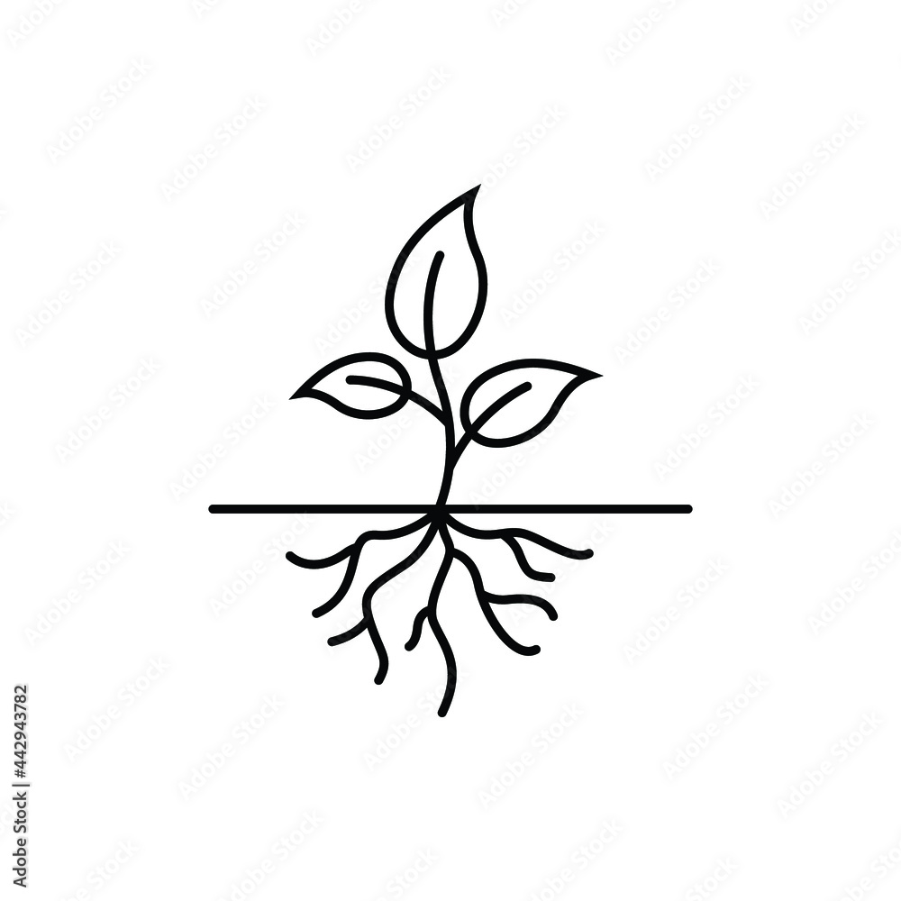 plant root logo icon design template vector