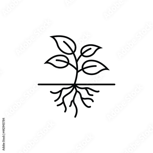 plant root logo icon design template vector