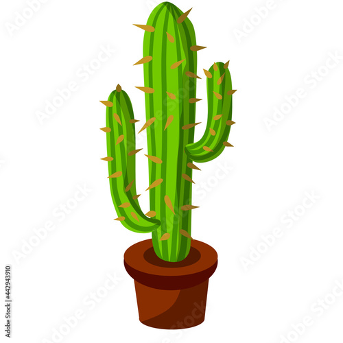 Cactus in a pot. House plant. Green succulent. Flat cartoon illustration isolated on white background