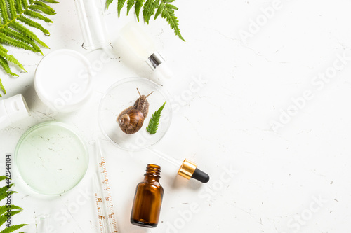 Snail mucin products at white background. Natural anti-aging cosmetic, repair skincare product. Flat lay image. photo