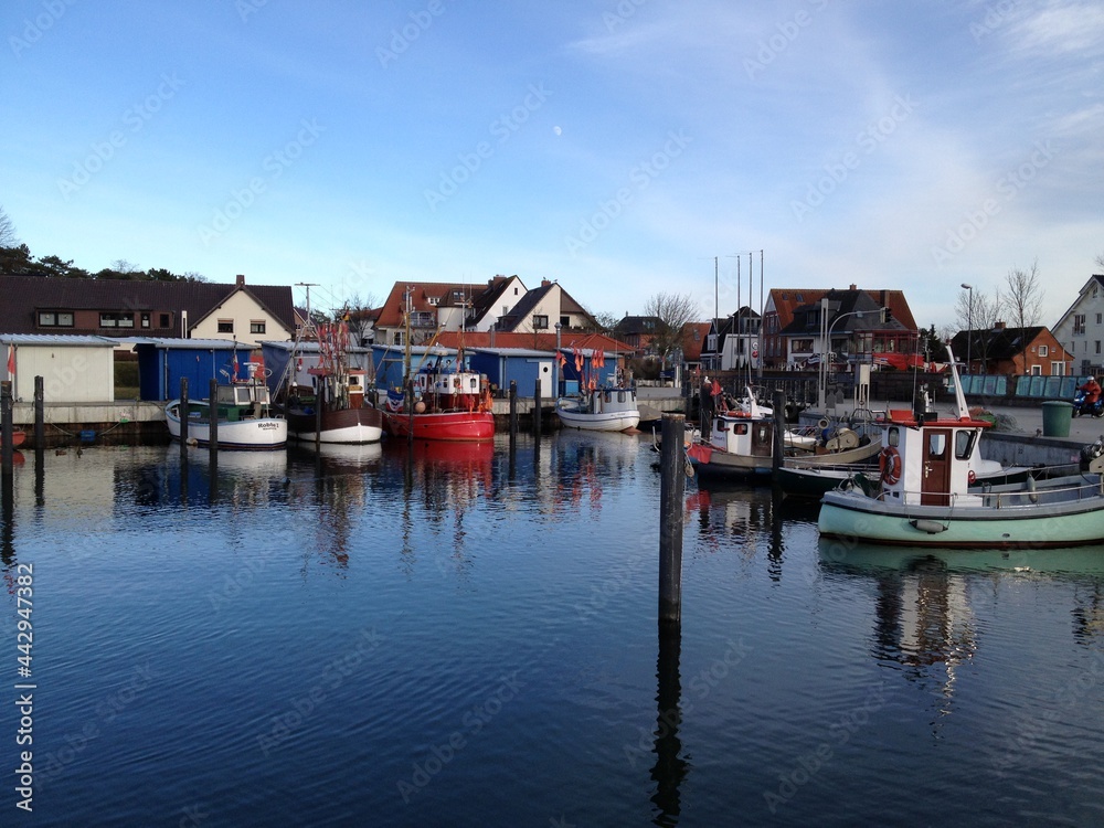 boats in the harbour