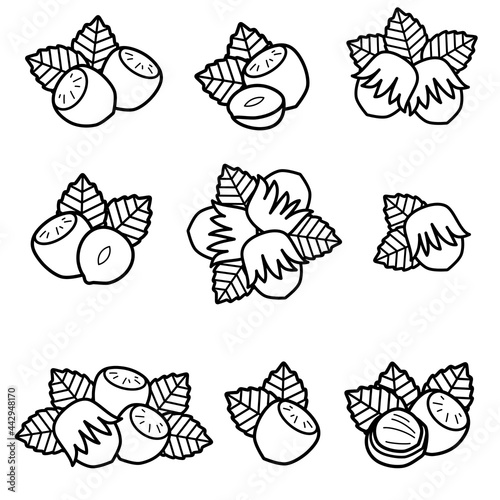 Hazelnut nuts set. Collection icon hazelnut nuts. Vector