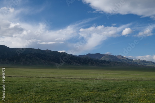 Mountain range and green grassland in Xinjiang China © Robert