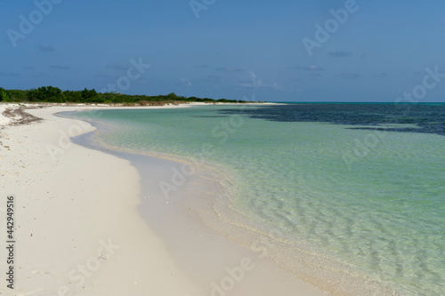 A deserted Caribbean beach with white sand and crystal clear water, the island of Cozumel Mexico. In the background the blue sky