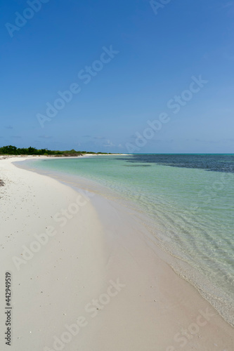 Dream beach in the Caribbean Sea, Cozumel Island, Mexico. In the background of coconut palms and blue sky