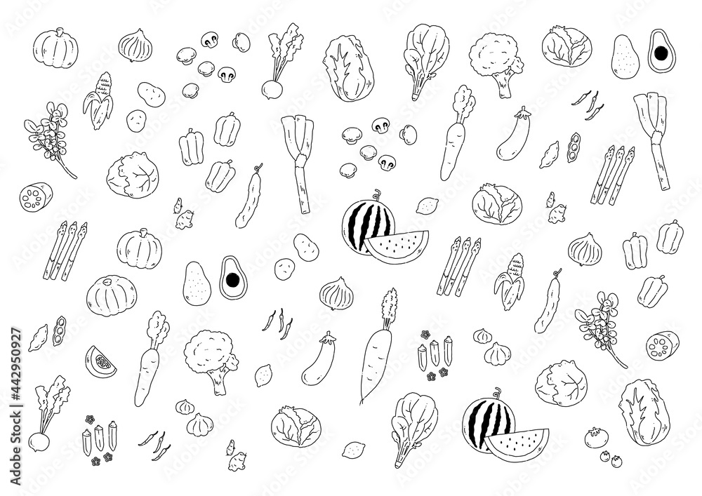 いろんな野菜の手描き線画イラスト背景 いろんな野菜の手描き線画イラスト背景