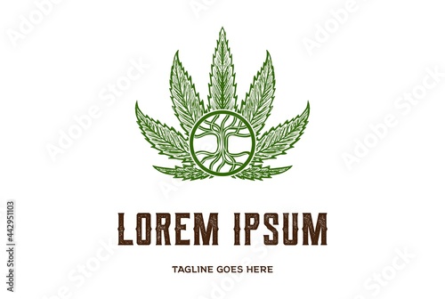 Cannabis Ganja Marijuana Leaf Root CBD Oil Logo Design Vector