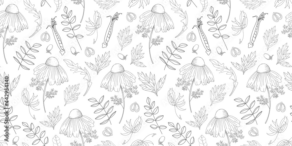 Simple delicate floral pattern. Thin lines. Summer fabric, textile and packaging design. Medicinal herbs and wildflowers. Vintage herbs. Vector botanical illustration