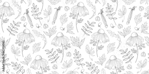 Simple delicate floral pattern. Thin lines. Summer fabric, textile and packaging design. Medicinal herbs and wildflowers. Vintage herbs. Vector botanical illustration © Анна Таранкова