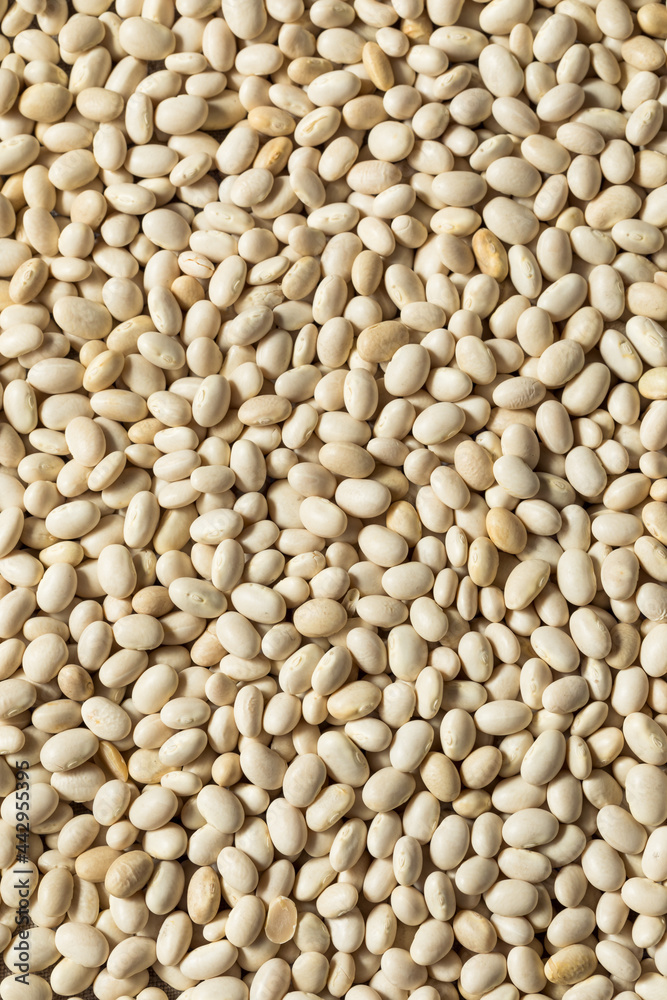 Healthy Organic Dry White Beans Healthy Organic Dry White Beans