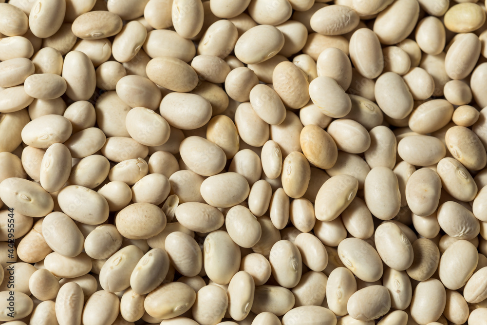 Healthy Organic Dry White Beans Healthy Organic Dry White Beans