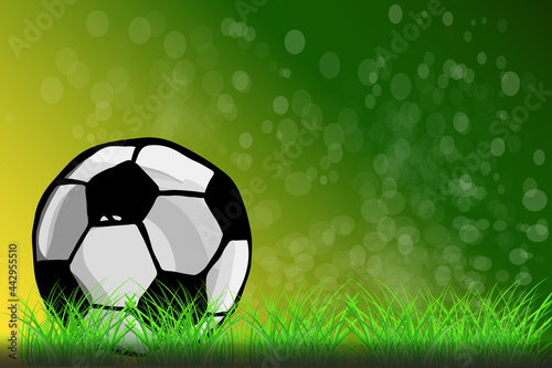 Soccer ball on green grass background. Football concept. Soccer poster or card template with copy space. Football teams competition  sport clubs tournament banner or cover. Stock vector illustration